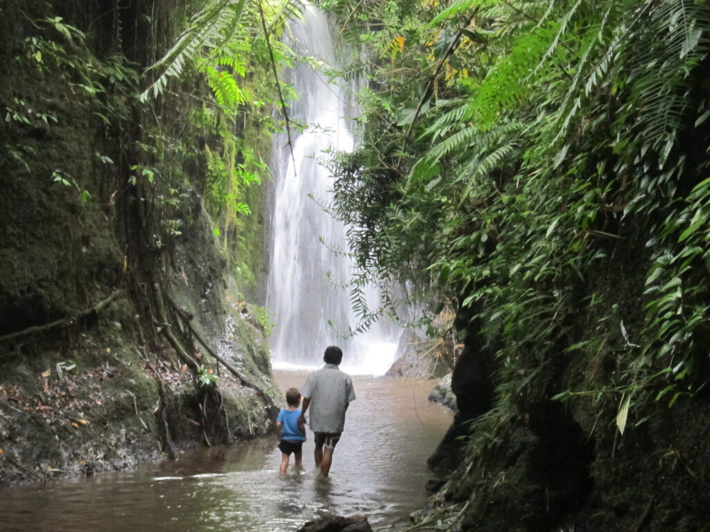 waterfall near tetebatu