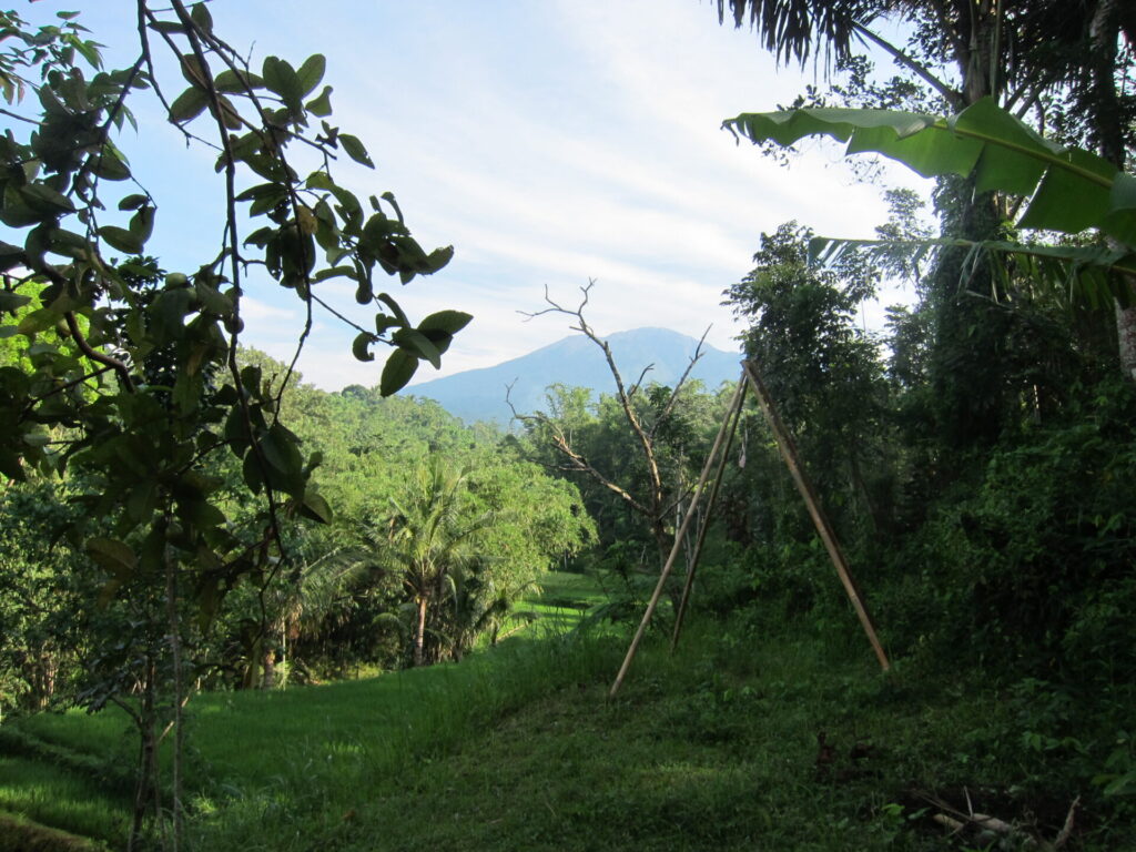 at Dreamcatcher camp looking at Mount Rinjani in the distance