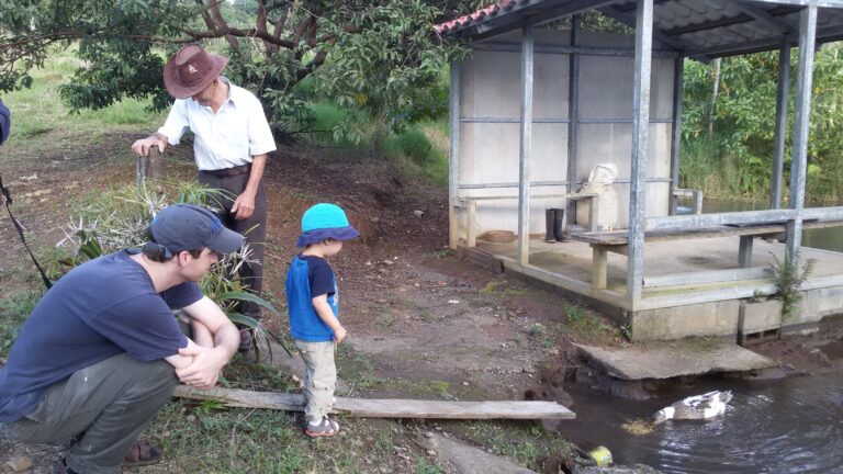 Feeding ducks on coffee farm in Costa Rica