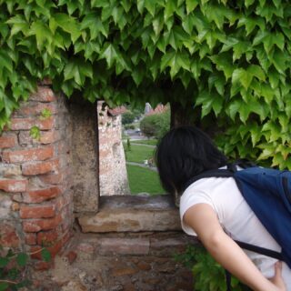 Looking through window in wall