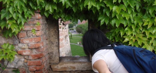 Looking through window in wall