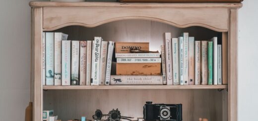 books on a shelf - pexels stock image