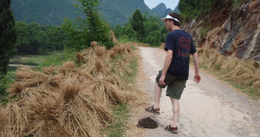 step in poop on road in rural china