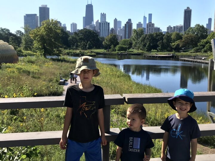 Chicago Skyline from Lincoln Park Zoo