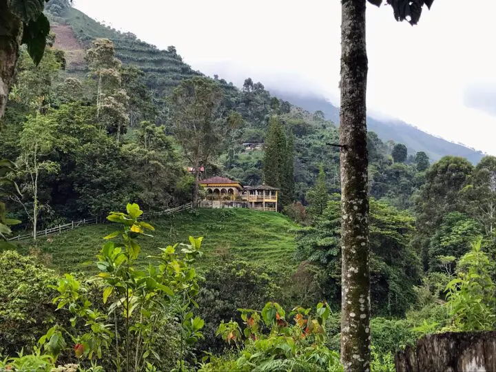 Outskirts of Pijao