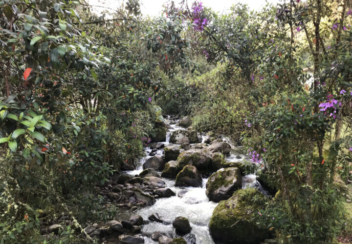 San Vicente Termal - River
