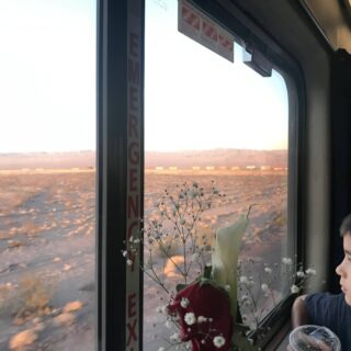 Looking out the amtrak window