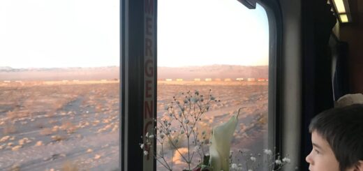 Looking out the amtrak window