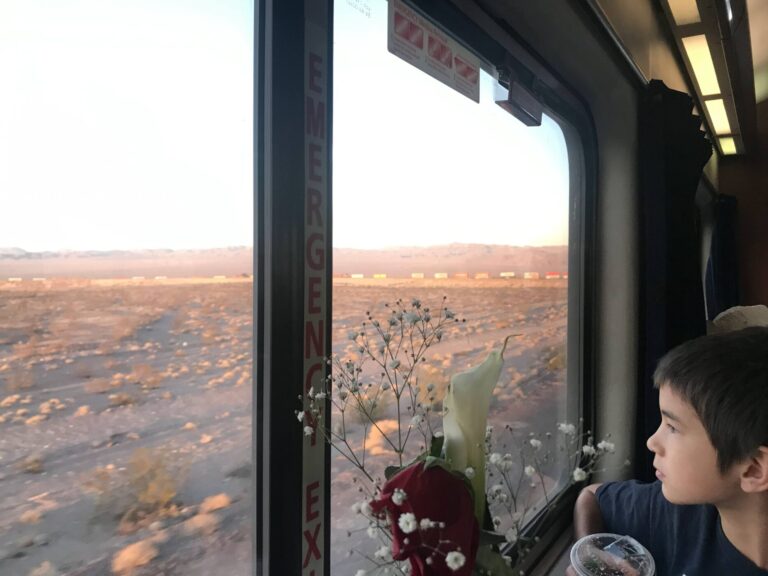 Looking out the amtrak window