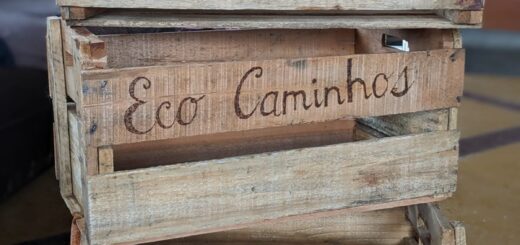 Eco Caminhos Vegetable Boxes