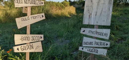 Quinta Esencia - Signs