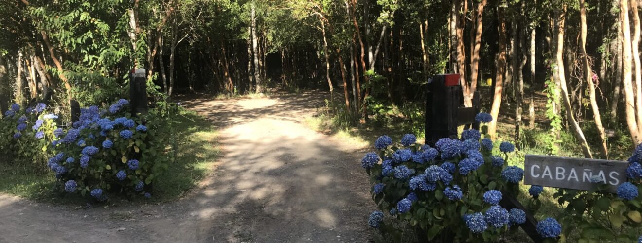 Lago Ranco - Cabanas Entrance