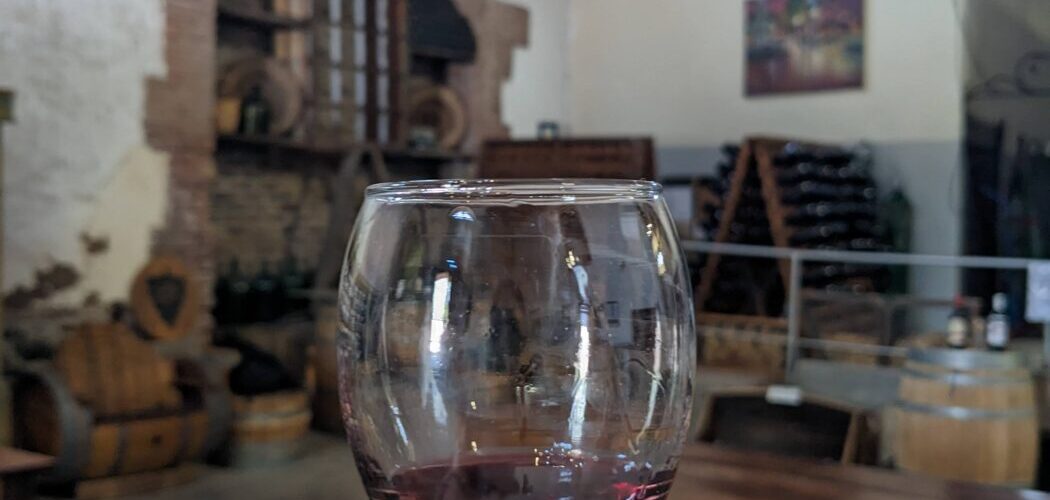 Mendoza - Wine Glass