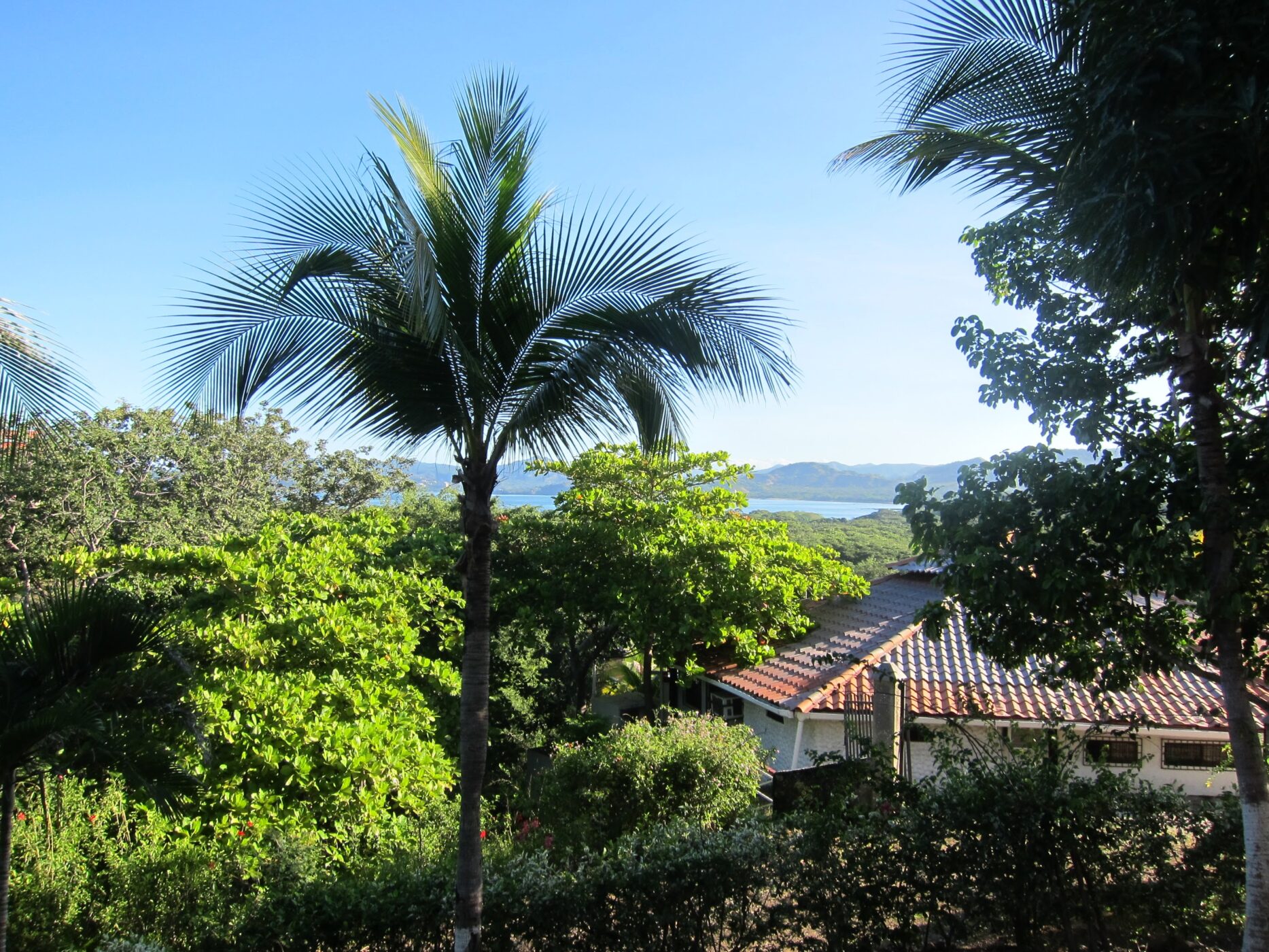 Playa Conchal - View of Ocean