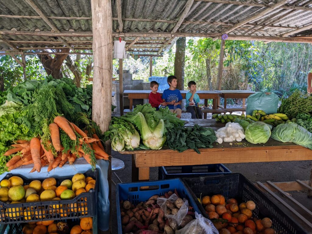 farmers market