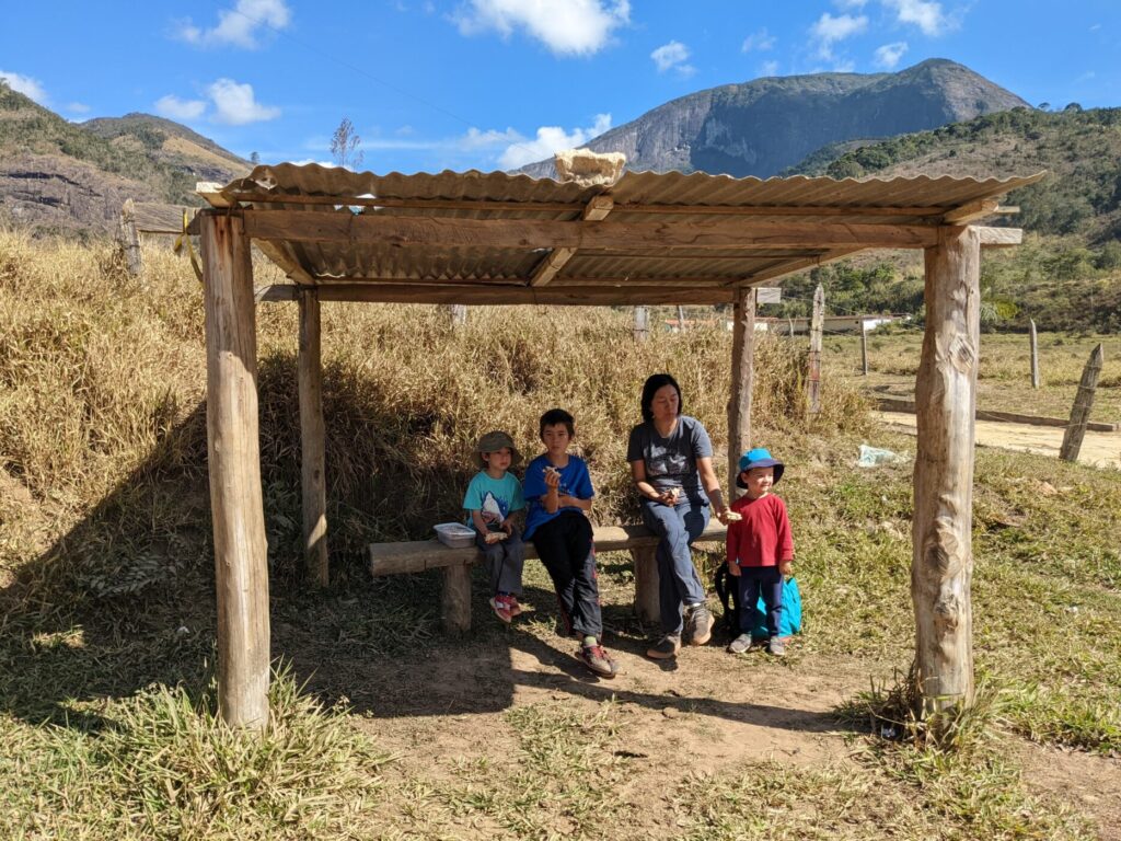rural road bus stop in Brazil